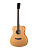 Prodipe JMFSA25 - Акустическая гитара EA SA25, аудиториум