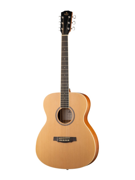 Prodipe JMFSA25 - Акустическая гитара EA SA25, аудиториум
