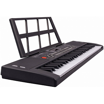 TERRIS TK-200 BK - синтезатор, 61 мини клавиша, микрофон, цвет черный 
