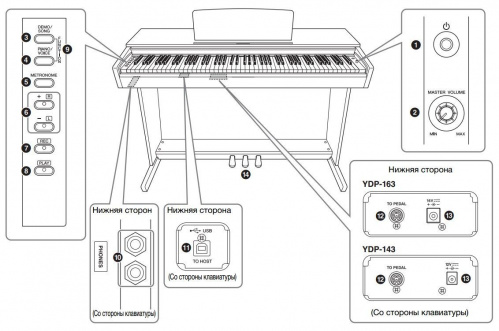 Цифровое пианино Yamaha YDP-143 Arius