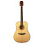 Omni D-120 NT - акустическая гитара, дредноут, цвет натуральный